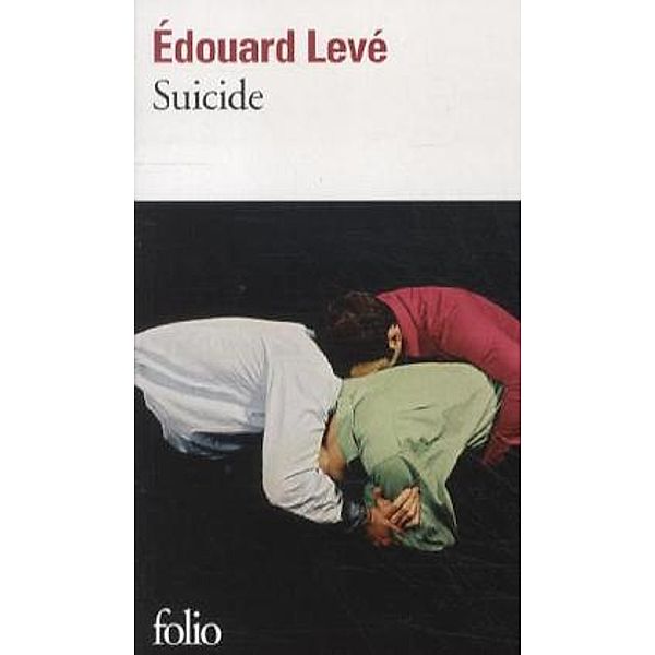 Suicide, Édouard Levé