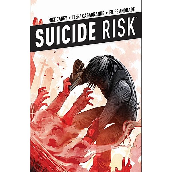 Suicide Risk Vol. 4, Mike Carey