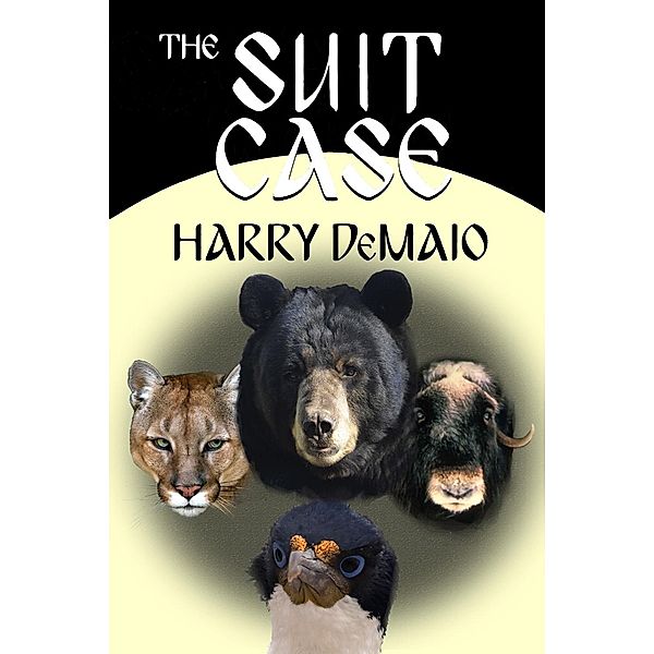 Suit Case / Octavius Bear, Harry Demaio