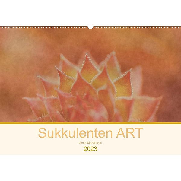 Sukkulenten ART (Wandkalender 2023 DIN A2 quer), Anne Madalinski