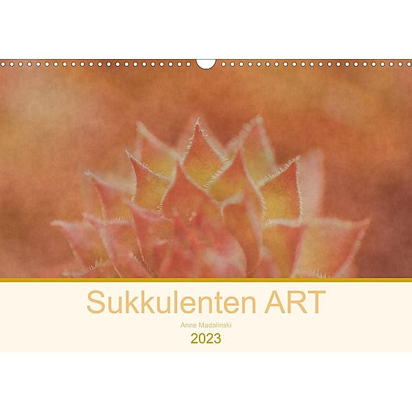 Sukkulenten ART (Wandkalender 2023 DIN A3 quer), Anne Madalinski