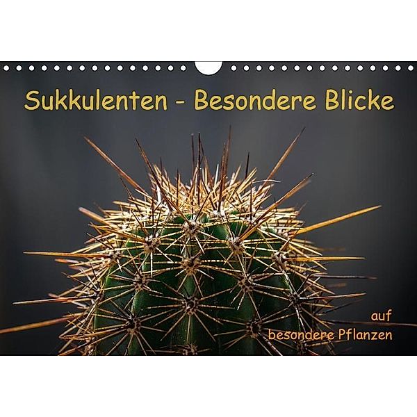 Sukkulenten - Besondere Blicke auf besondere Pflanzen (Wandkalender 2017 DIN A4 quer), Jörg Hagen