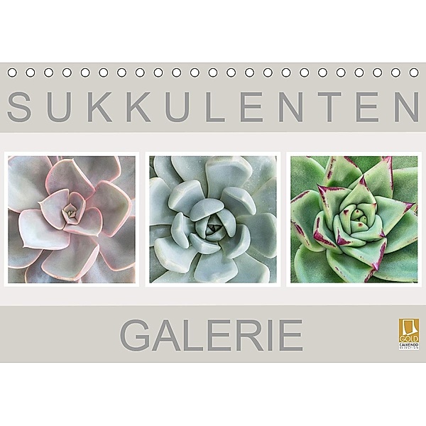 Sukkulenten Galerie (Tischkalender 2020 DIN A5 quer), Beate Wurster