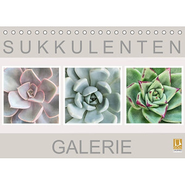 Sukkulenten Galerie (Tischkalender 2022 DIN A5 quer), Beate Wurster