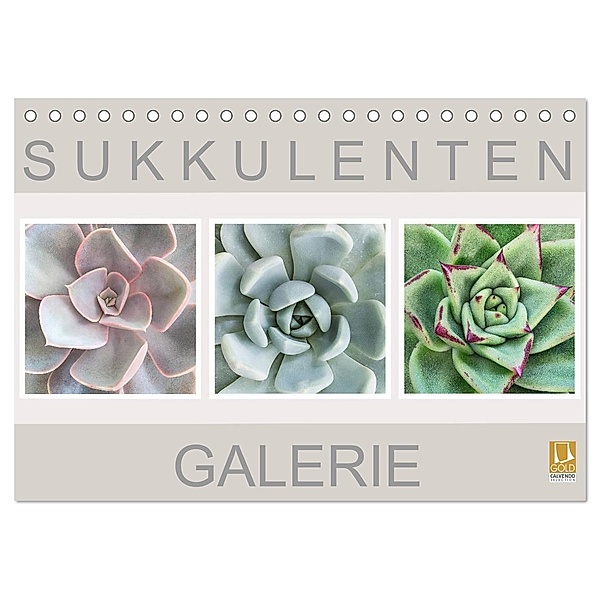 Sukkulenten Galerie (Tischkalender 2024 DIN A5 quer), CALVENDO Monatskalender, Beate Wurster