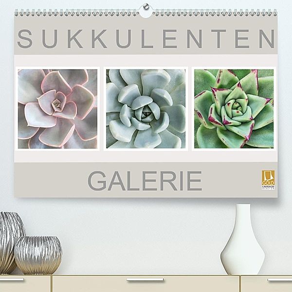 Sukkulenten Galerie(Premium, hochwertiger DIN A2 Wandkalender 2020, Kunstdruck in Hochglanz), Beate Wurster