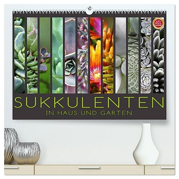 Sukkulenten in Haus und Garten (hochwertiger Premium Wandkalender 2024 DIN A2 quer), Kunstdruck in Hochglanz, Martina Cross