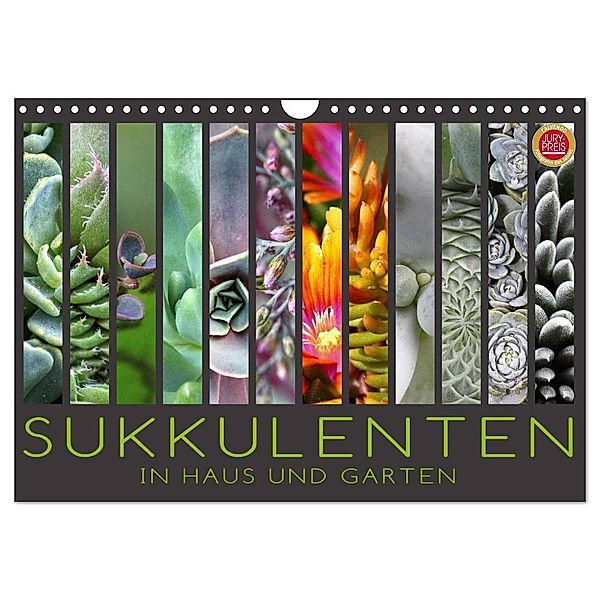 Sukkulenten in Haus und Garten (Wandkalender 2024 DIN A4 quer), CALVENDO Monatskalender, Martina Cross