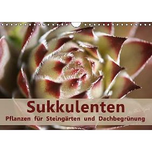 Sukkulenten - Pflanzen für Steingärten und Dachbegrünung (Wandkalender 2015 DIN A4 quer), Rosi Lorz - LoRo-Artwork