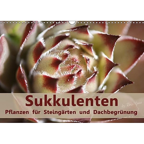Sukkulenten - Pflanzen für Steingärten und Dachbegrünung (Wandkalender 2017 DIN A3 quer), Rosi Lorz - LoRo-Artwork