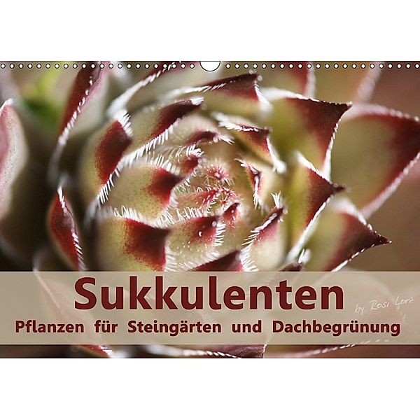 Sukkulenten - Pflanzen für Steingärten und Dachbegrünung (Wandkalender 2018 DIN A3 quer), Rosi Lorz - LoRo-Artwork