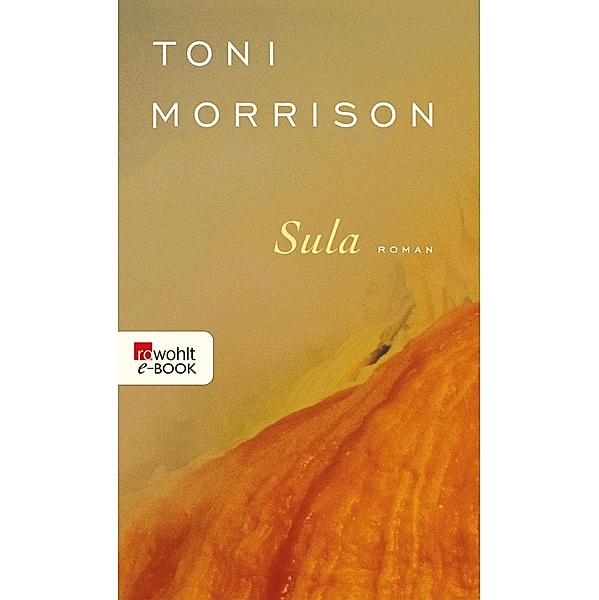 Sula / rororo Taschenbücher Bd.23815, Toni Morrison