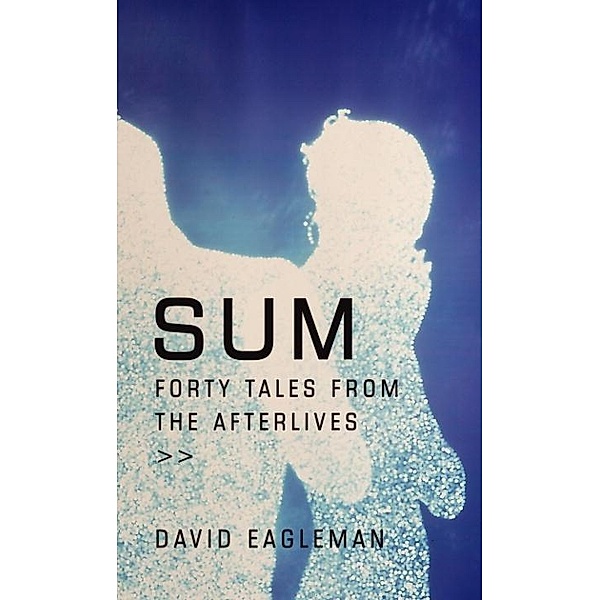 Sum, David Eagleman