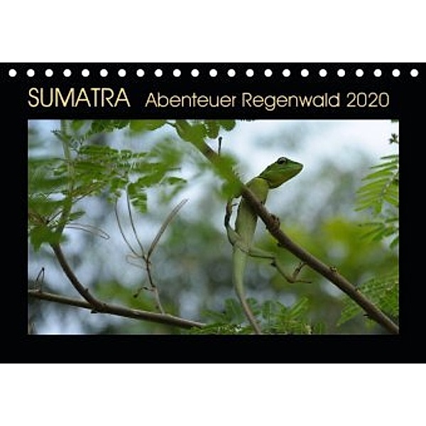 SUMATRA Abenteuer Regenwald (Tischkalender 2020 DIN A5 quer), Bettina Grallert