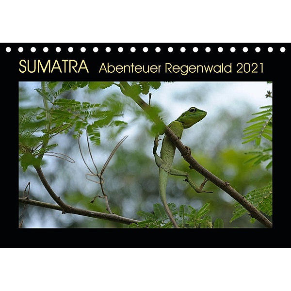SUMATRA Abenteuer Regenwald (Tischkalender 2021 DIN A5 quer), Bettina Grallert