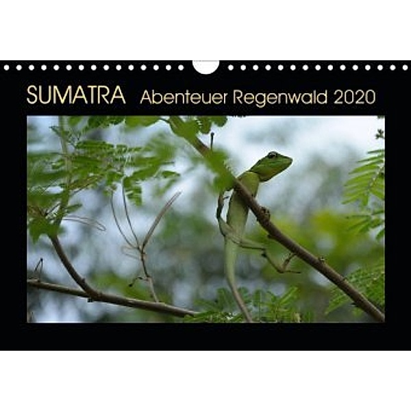 SUMATRA Abenteuer Regenwald (Wandkalender 2020 DIN A4 quer), Bettina Grallert