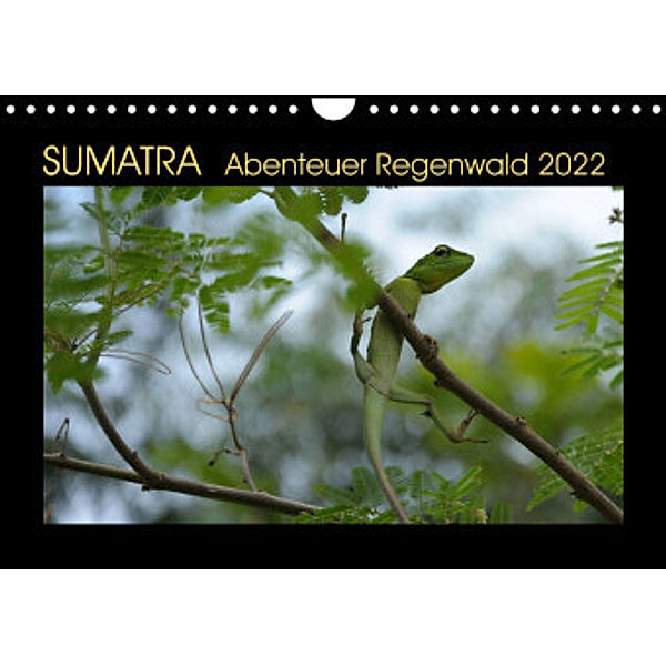 SUMATRA Abenteuer Regenwald (Wandkalender 2022 DIN A4 quer), Bettina Grallert