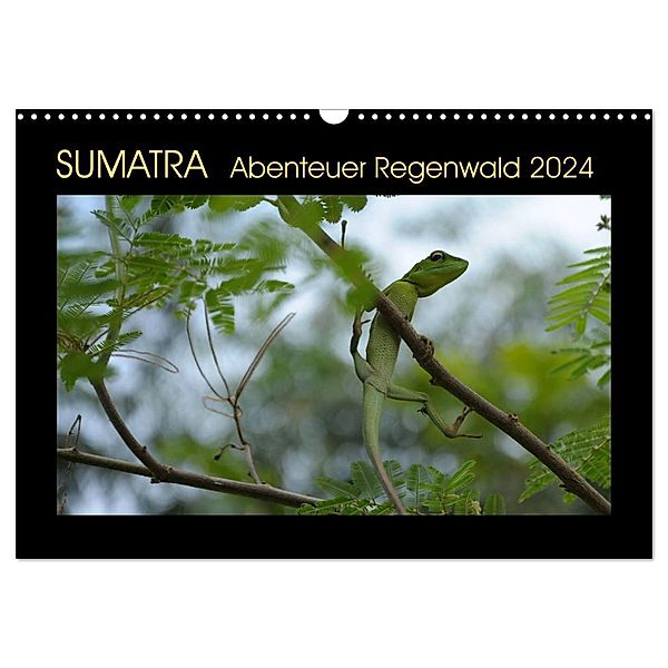 SUMATRA Abenteuer Regenwald (Wandkalender 2024 DIN A3 quer), CALVENDO Monatskalender, Bettina Grallert