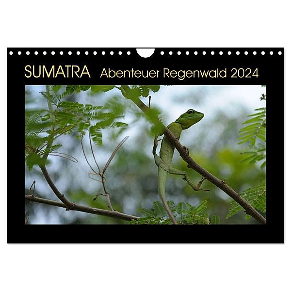 SUMATRA Abenteuer Regenwald (Wandkalender 2024 DIN A4 quer), CALVENDO Monatskalender, Bettina Grallert