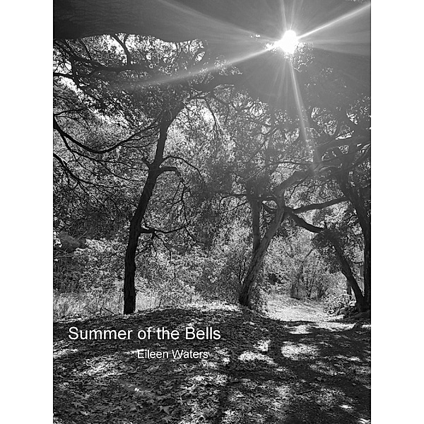 Summer of the Bells, Eileen Waters