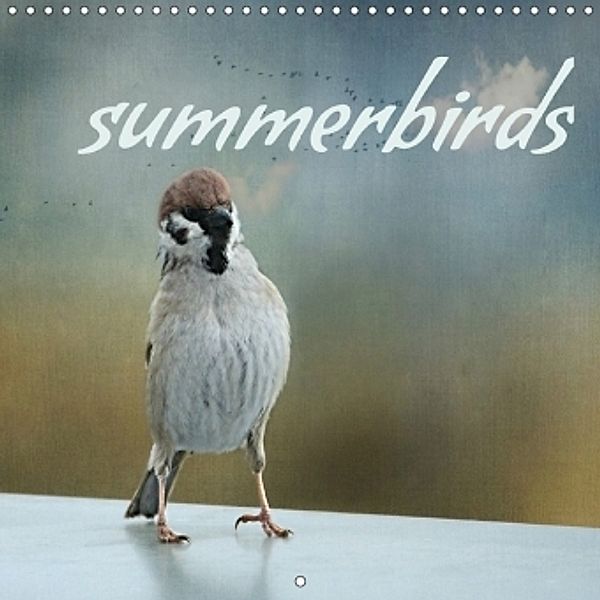 summerbirds (Wall Calendar 2017 300 × 300 mm Square), Heike Hultsch