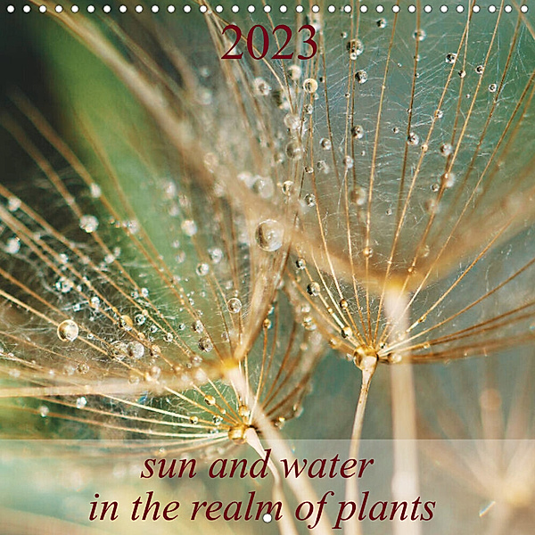 Sun and water in the realm of plants (Wall Calendar 2023 300 × 300 mm Square), Antje Trenka