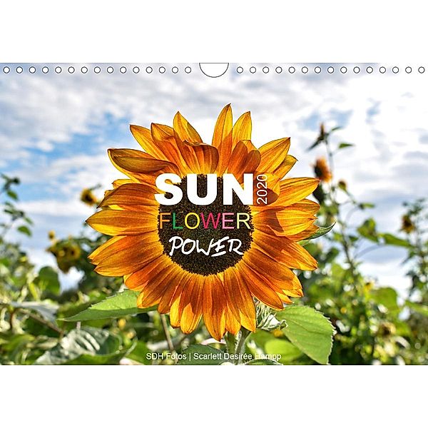SUN Flower Power (Wandkalender 2020 DIN A4 quer), SDH Fotos