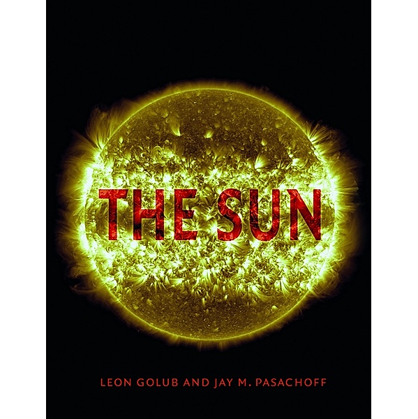 Sun / Kosmos, Golub Leon Golub