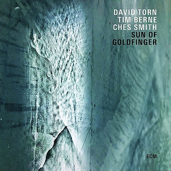 Sun Of Goldfinger, David Torn, Tim Berne, Ches Smith