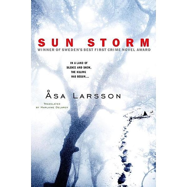 Sun Storm / Rebecka Martinsson Bd.1, Asa Larsson