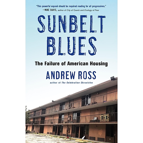 Sunbelt Blues, Andrew Ross