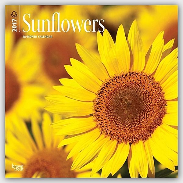 Sunflowers - Sonnenblumen 2017 - 18-Monatskalender