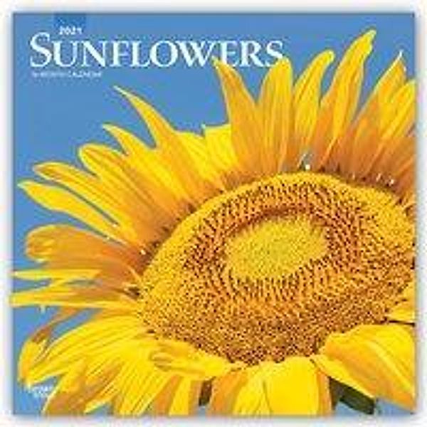 Sunflowers - Sonnenblumen 2021 - 16-Monatskalender, BrownTrout Publisher