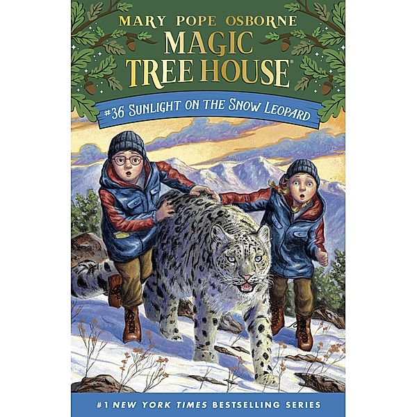 Sunlight on the Snow Leopard / Magic Tree House (R) Bd.36, Mary Pope Osborne