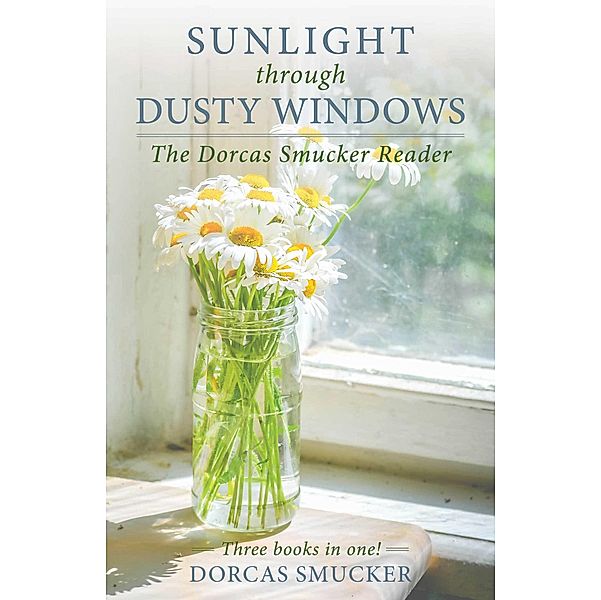 Sunlight Through Dusty Windows, Dorcas Smucker