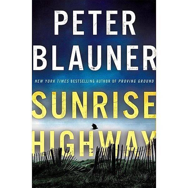 Sunrise Highway / Lourdes Robles Novels Bd.2, Peter Blauner
