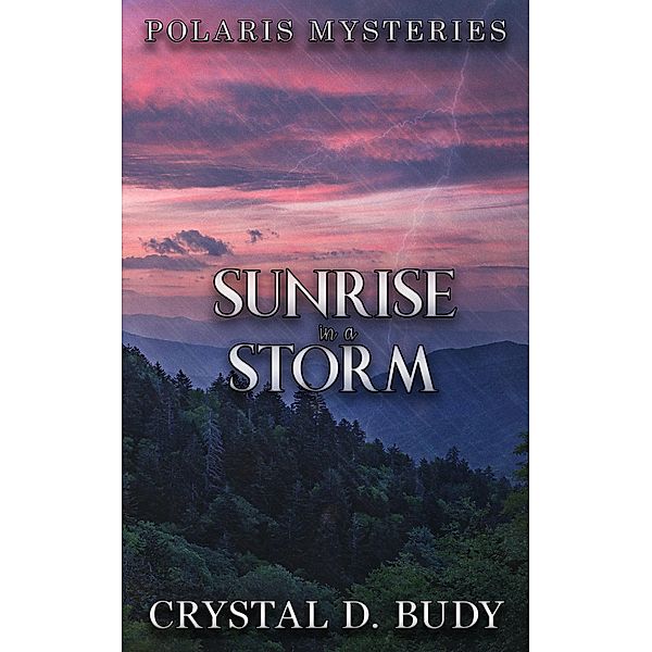 Sunrise in a Storm (Polaris Mysteries, #2) / Polaris Mysteries, Crystal D. Budy