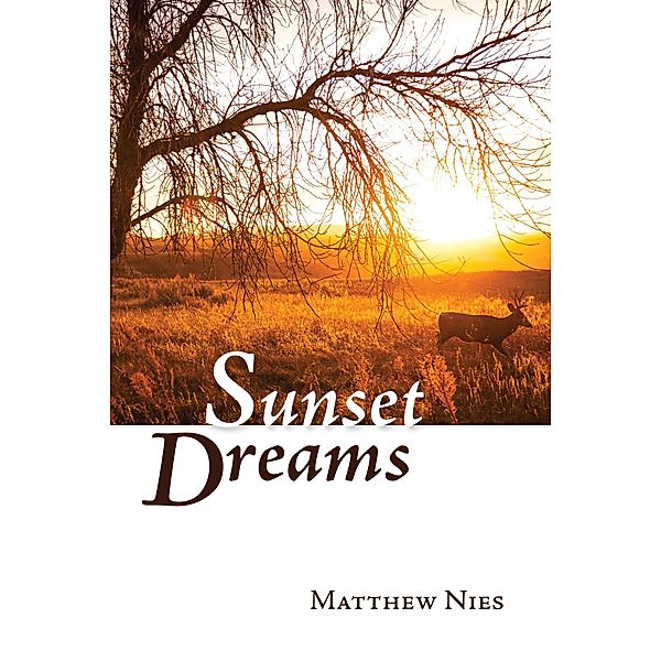 Sunset Dreams, Matthew Nies