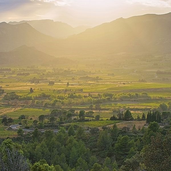 Sunset in Langeudoc, Kirill Kutalov