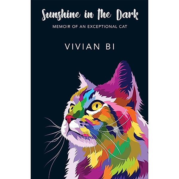 Sunshine in the Dark, Vivian Bi