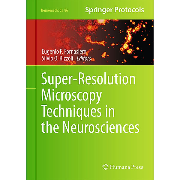 Super-Resolution Microscopy Techniques in the Neurosciences