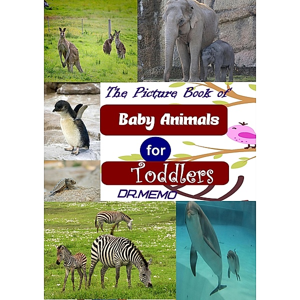 SUPER TODDLERS: The Picture Book of Baby Animals for Toddlers (SUPER TODDLERS, #3), Memo