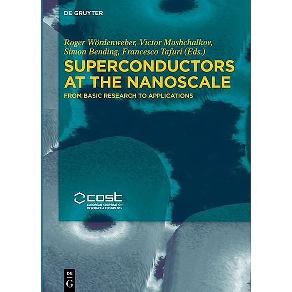 Superconductors at the Nanoscale