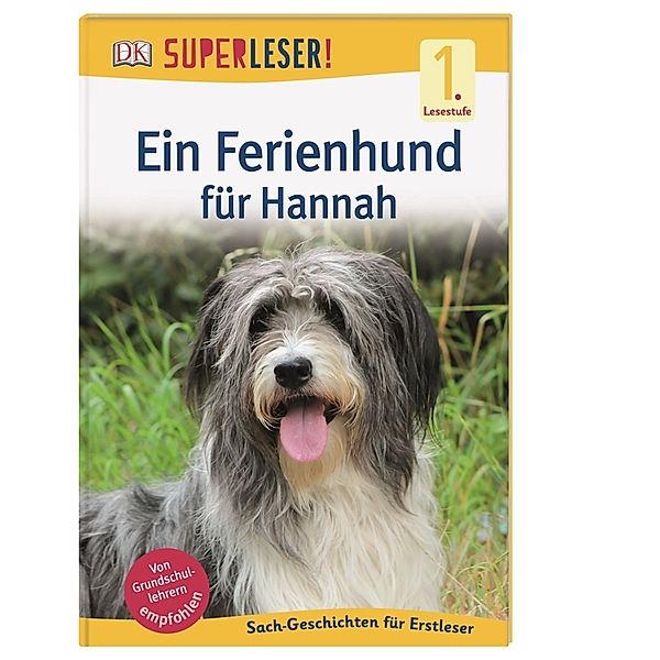 SUPERLESER! Ein Ferienhund für Hannah / Superleser 1. Lesestufe Bd.5