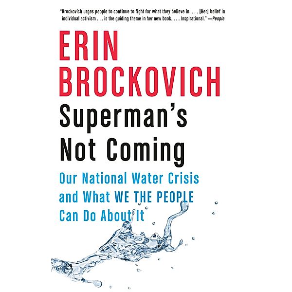 Superman's Not Coming, Erin Brockovich