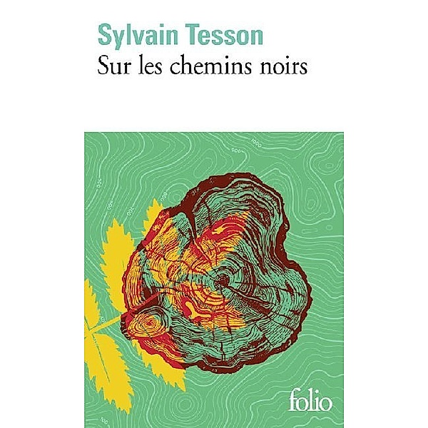 Sur les chemins noirs, Sylvain Tesson