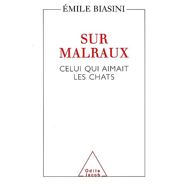 Sur Malraux, Biasini Emile Biasini