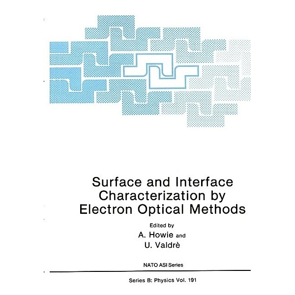 Surface and Interface Characterization by Electron Optical Methods / Nato ASI Subseries B: Bd.16