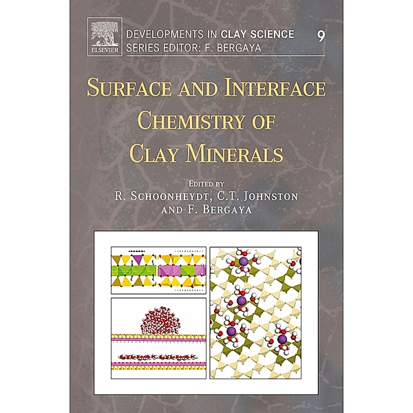 Surface and Interface Chemistry of Clay Minerals