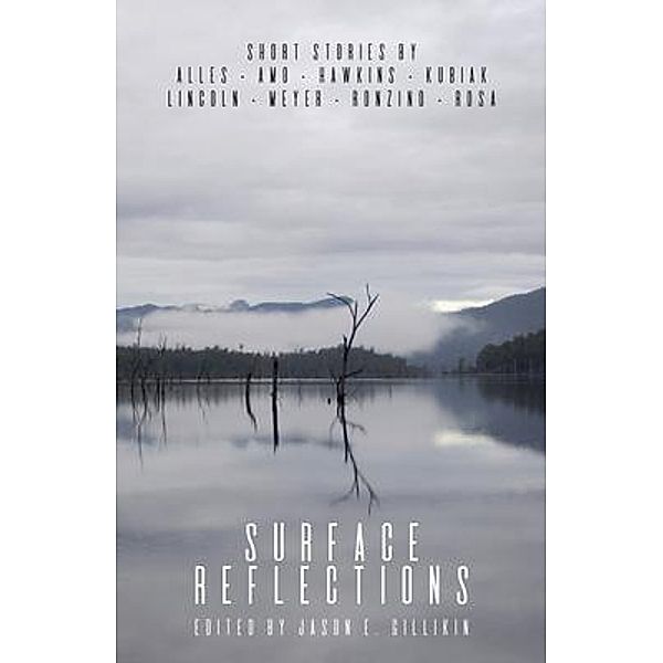 Surface Reflections / Surface Reflections Bd.1, Colleen Alles, Tiffany Amo, Allison Hawkins